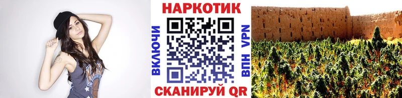 Где продают наркотики Светлогорск ГАШИШ Марихуана A-PVP Меф