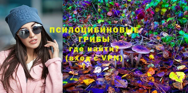 молекула духа Баксан