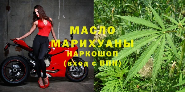 молекула духа Новозыбков